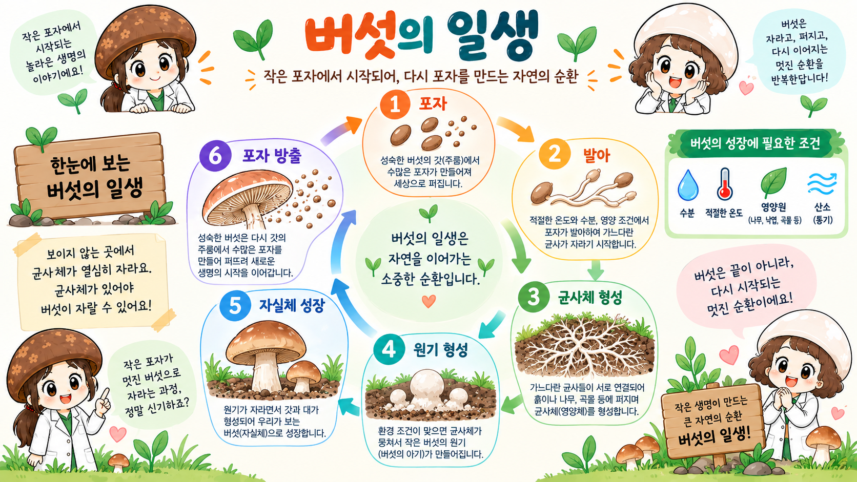 포자 발아부터 균사체와 자실체 형성까지 보여주는 버섯의 생애